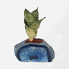 Semi Precious Planter