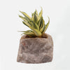 Semi Precious Planter