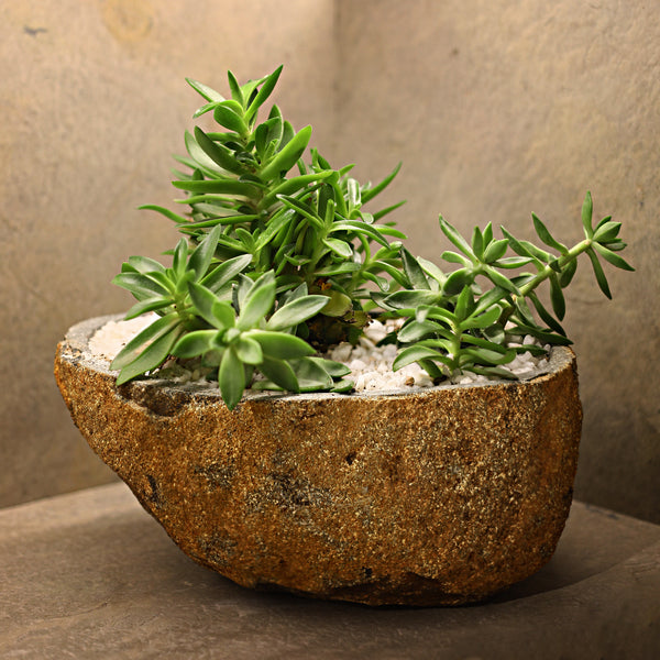 Boulder Planter