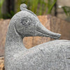Granite Duck