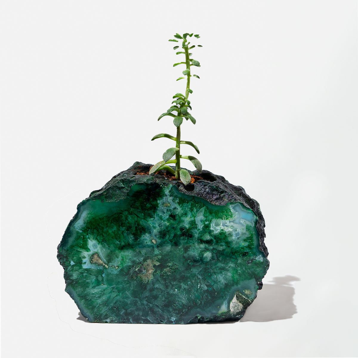 Semi Precious Planter