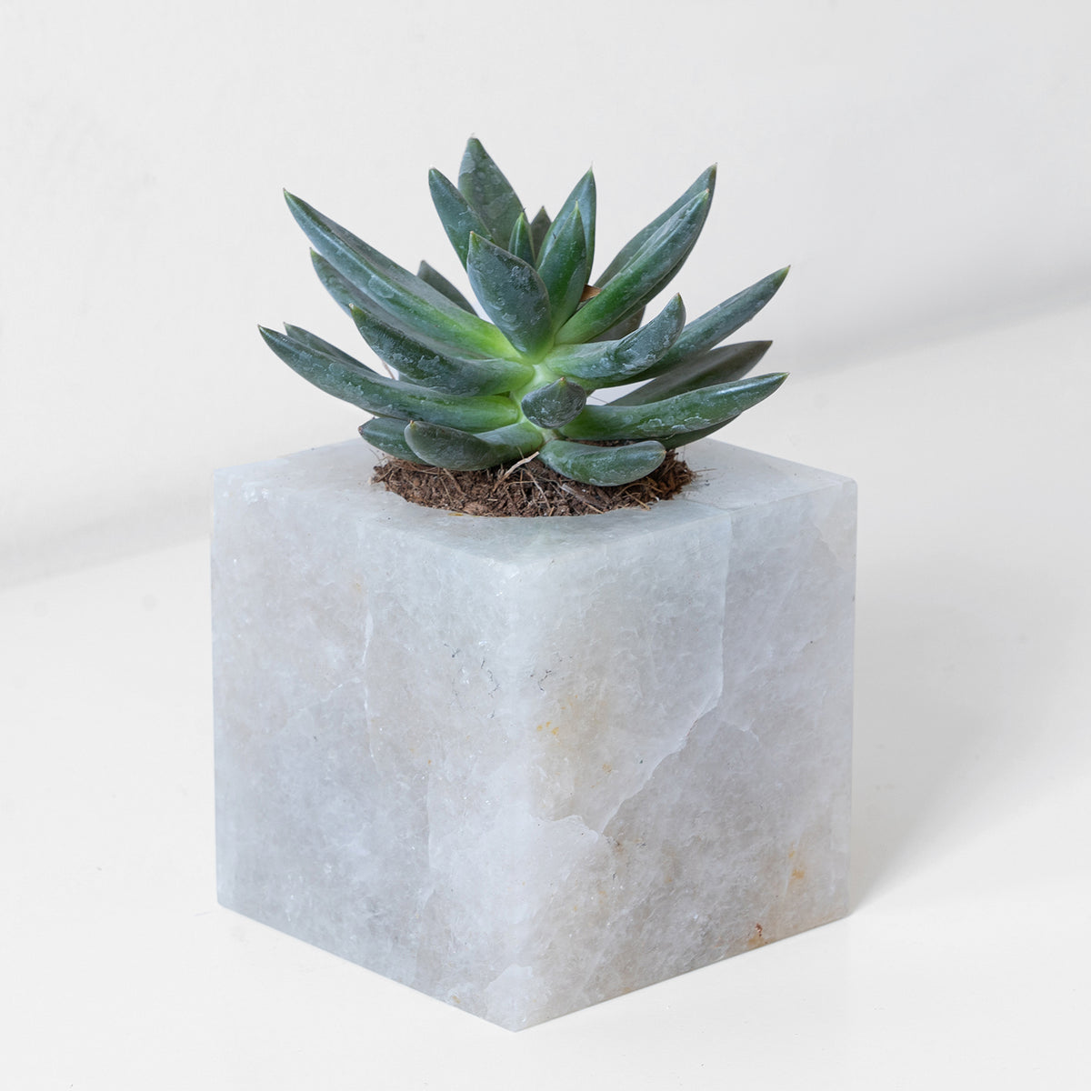 Semi Precious Cube Planter