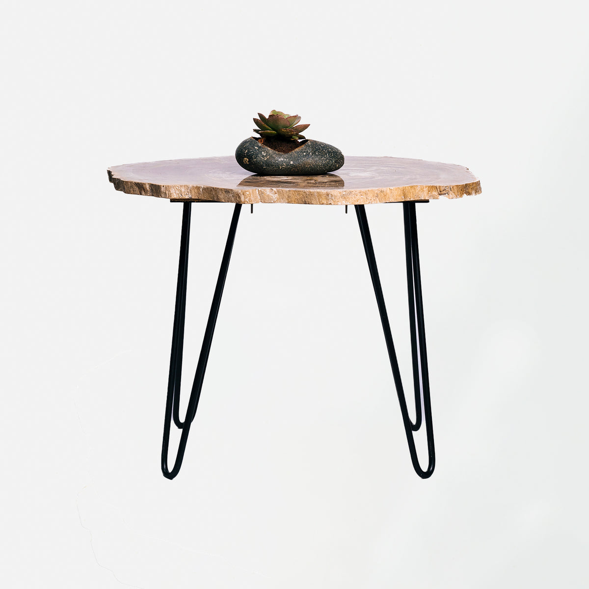 Petrified Wood Side Table