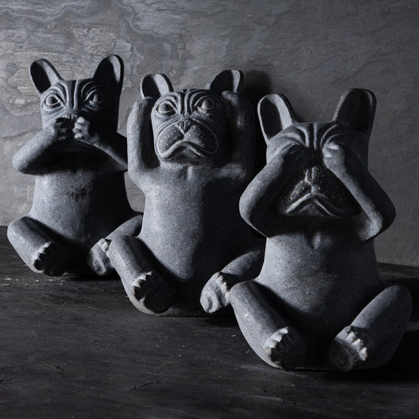 Three Wise Dogs