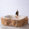 Terra Vain Basin