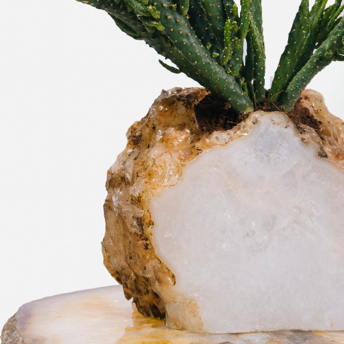 Semi Precious Planter