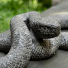 Kaa