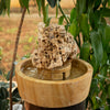Sea Rock Fountain