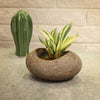 Pebble Planter - Brown