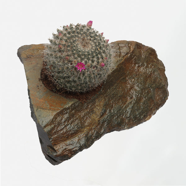Slate Planter