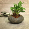 Pebble Planter - Grey