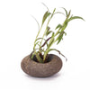 Pebble Planter - Brown