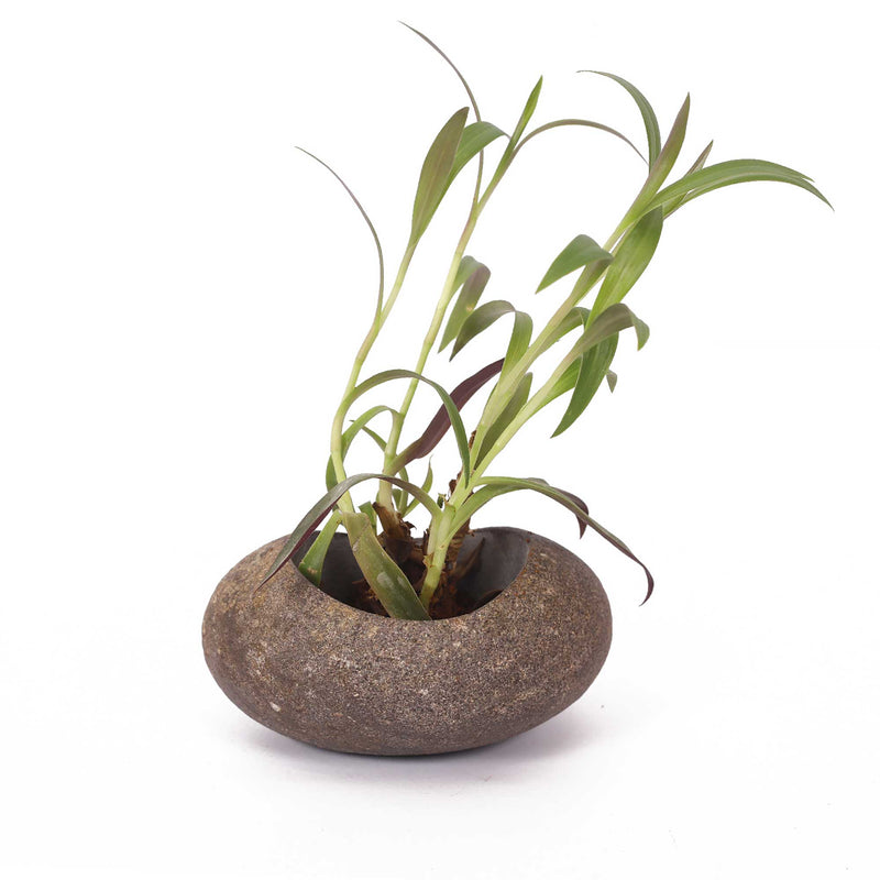 Pebble Planter - Brown