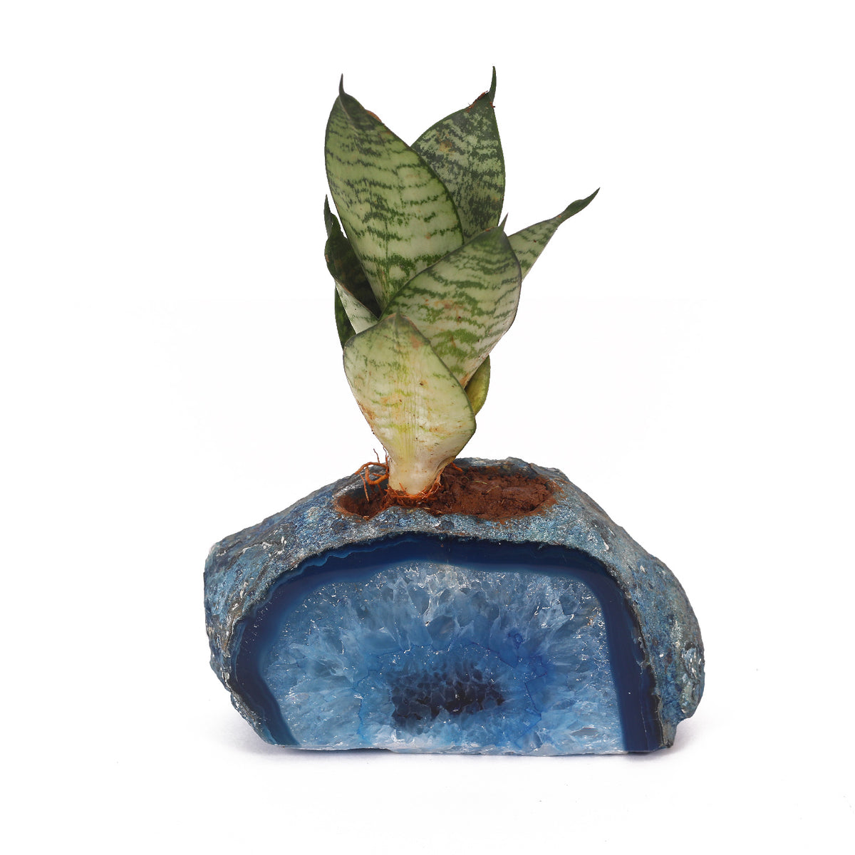 Semi Precious Planter - Blue - paarkhi
