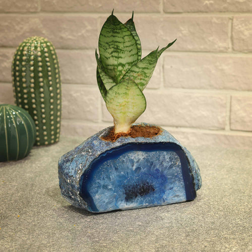 Semi Precious Planter - Blue