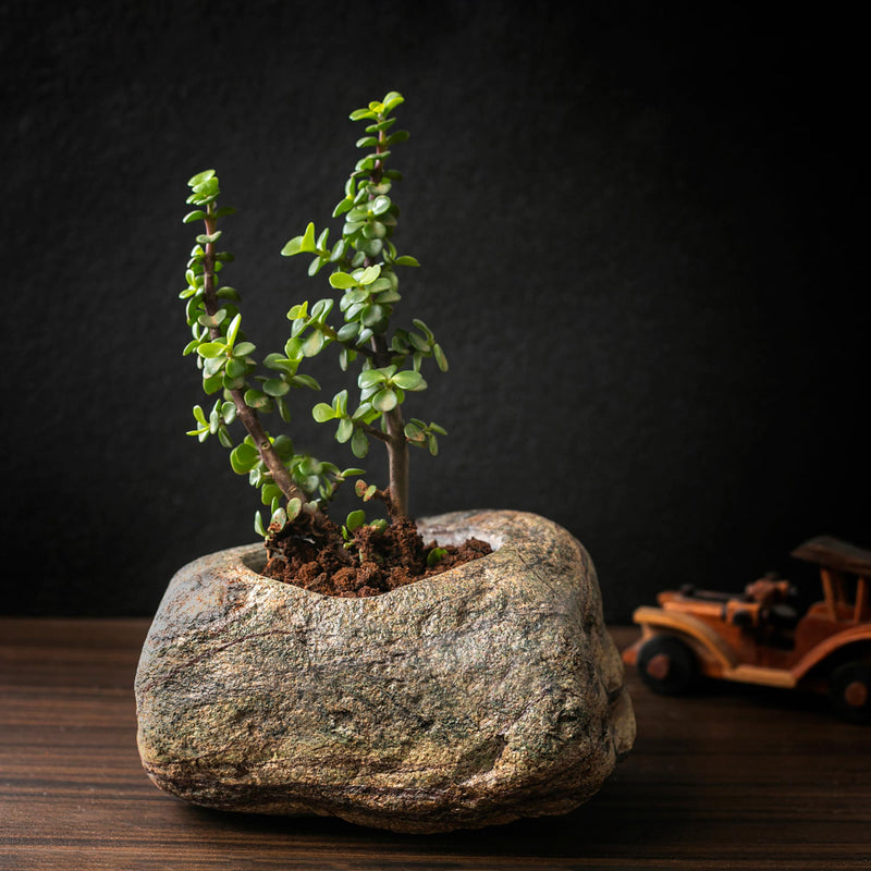 Marble Planter - Brown