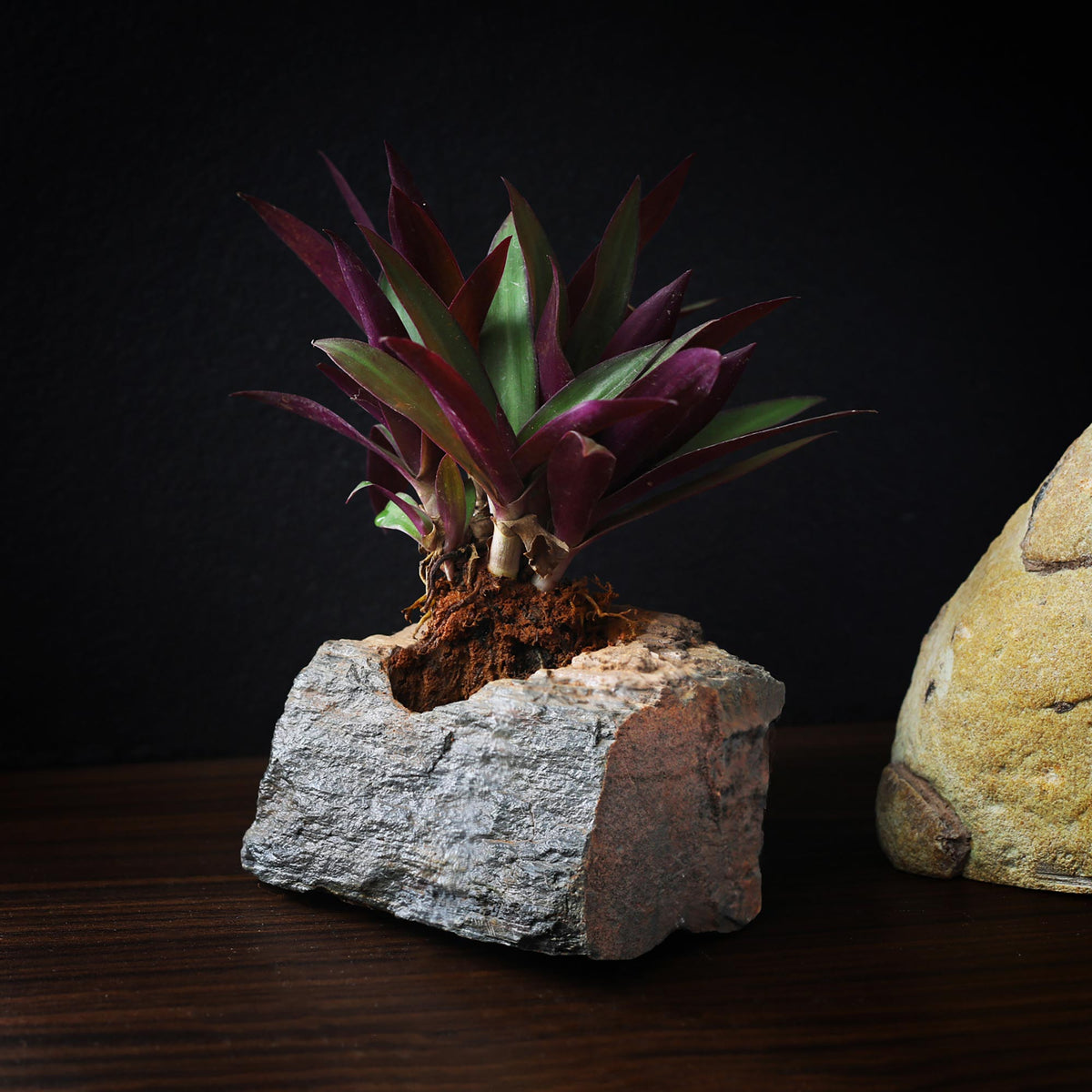 Slate Planter - paarkhi