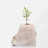 Semi Precious Planter