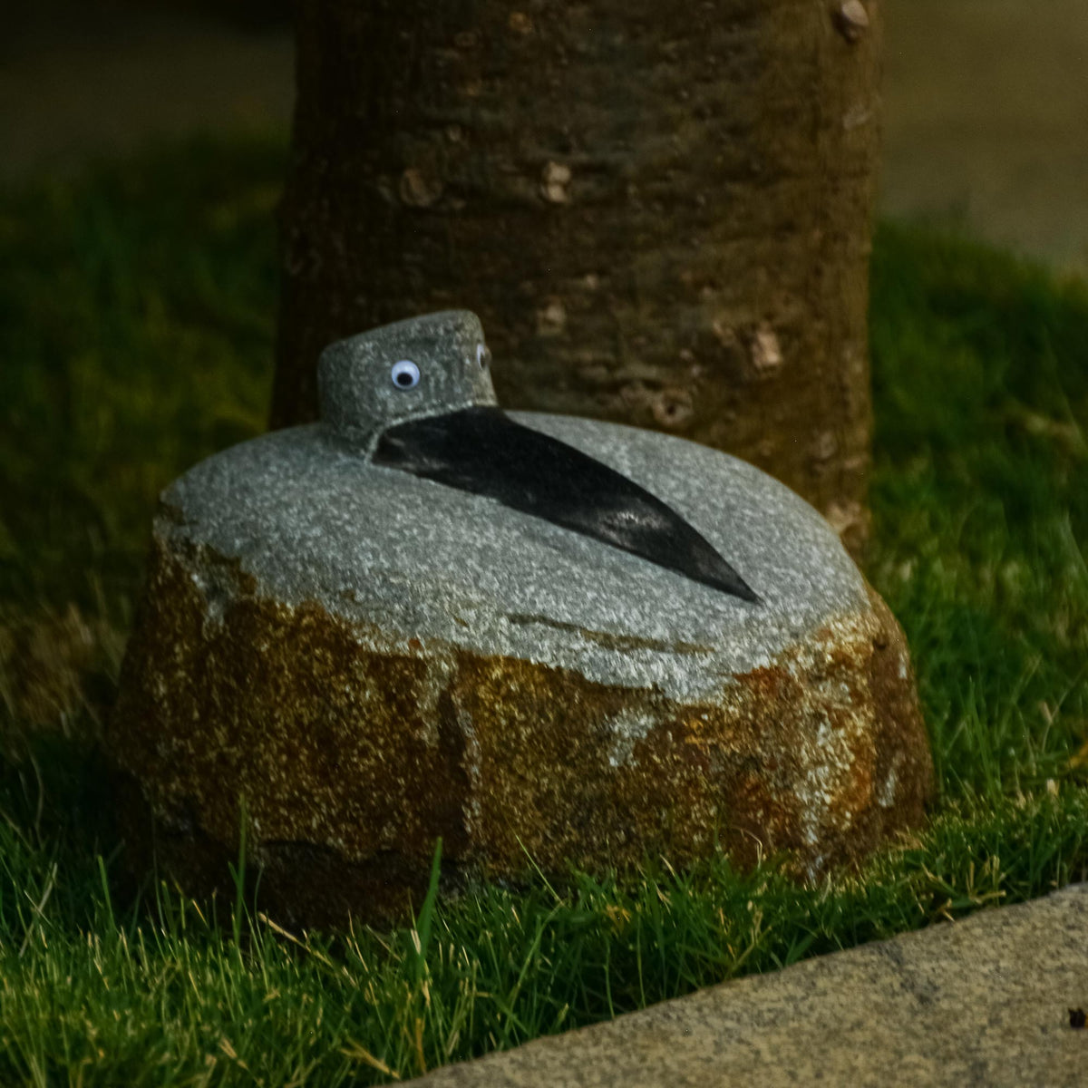 Granite Crow - paarkhi