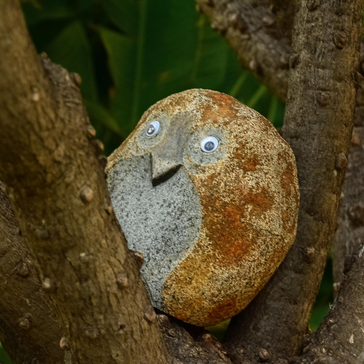 Granite Owl - paarkhi