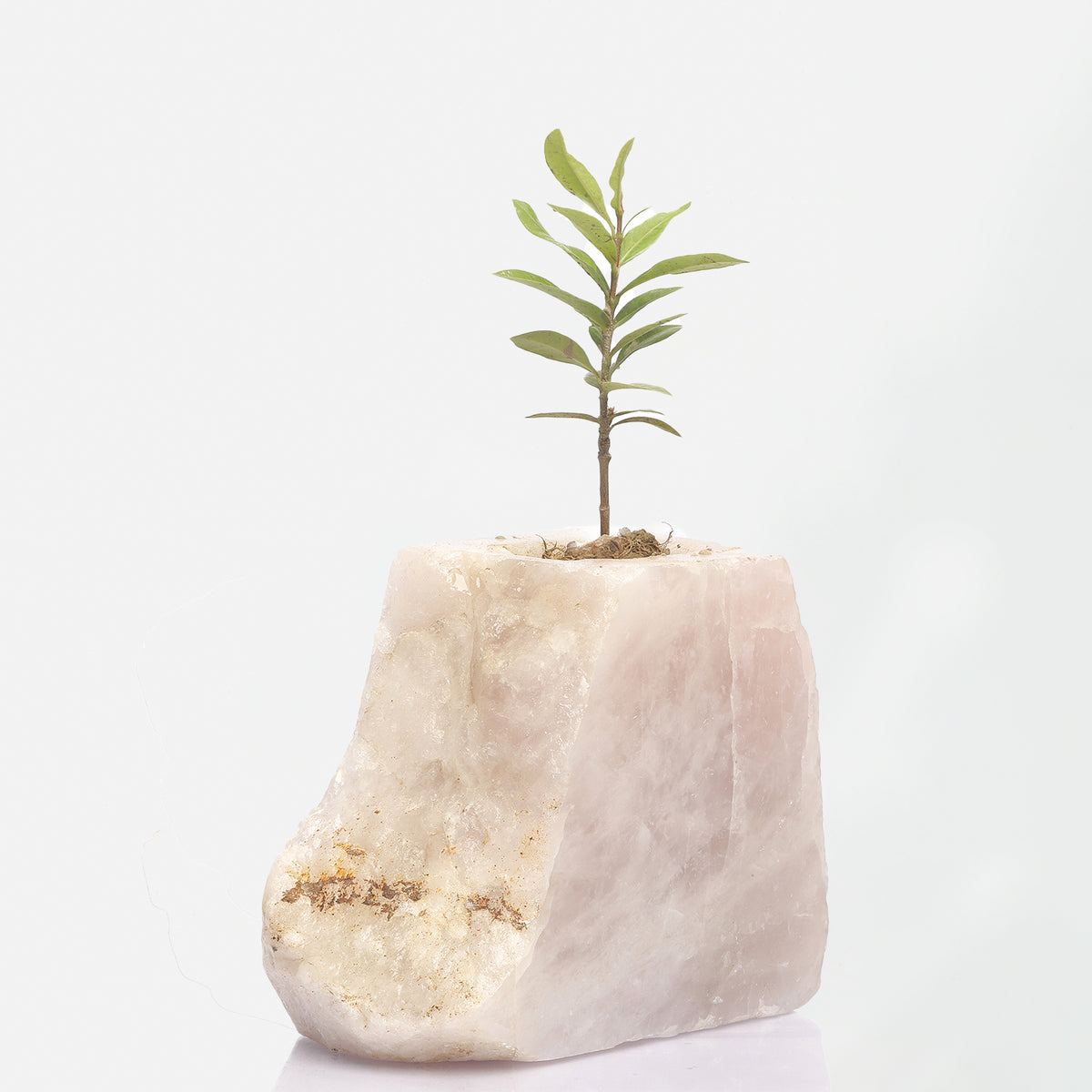 Semi Precious Planter - Rose Quartz