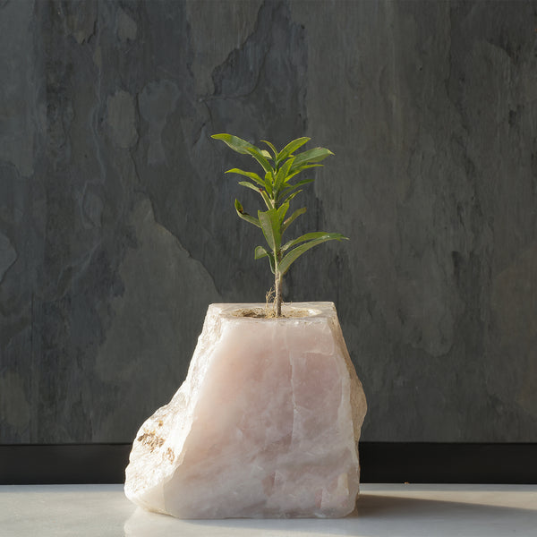 Semi Precious Planter