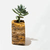 Semi Precious Planter-Yellow Lace