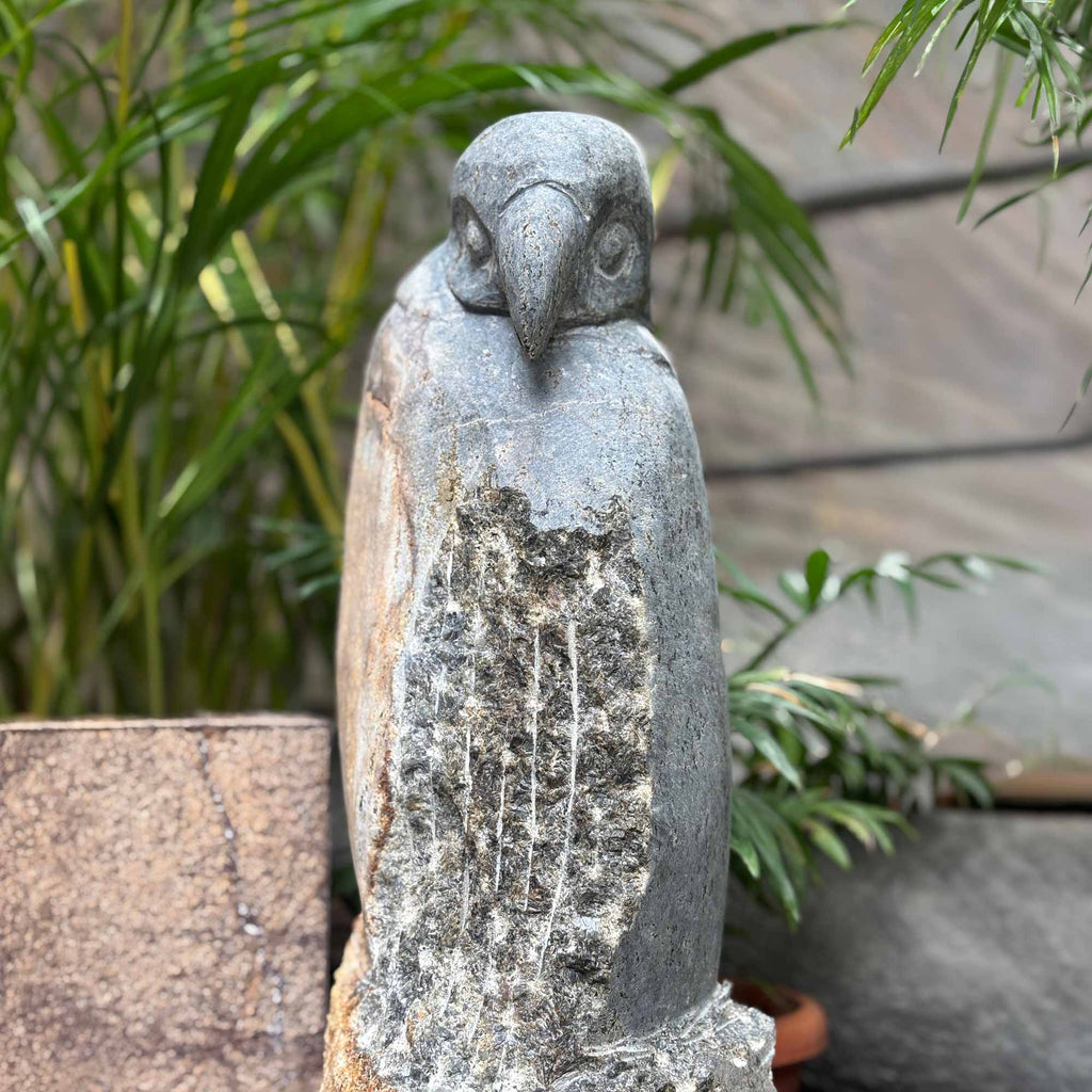 Eagle – paarkhi
