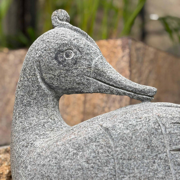 Granite Duck