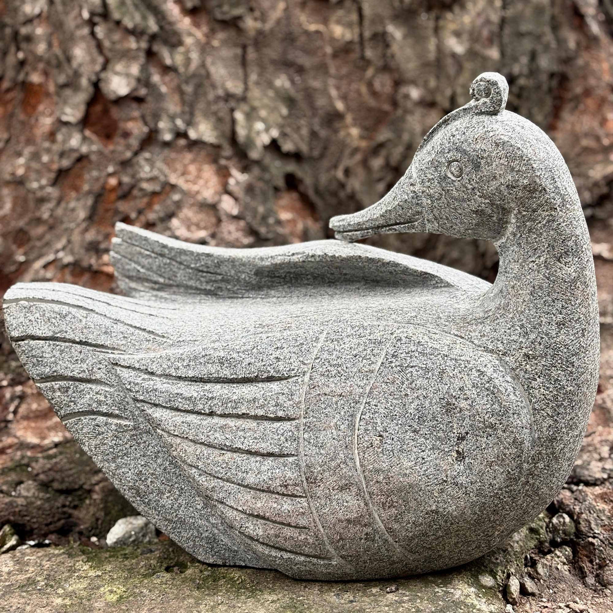 Granite Duck