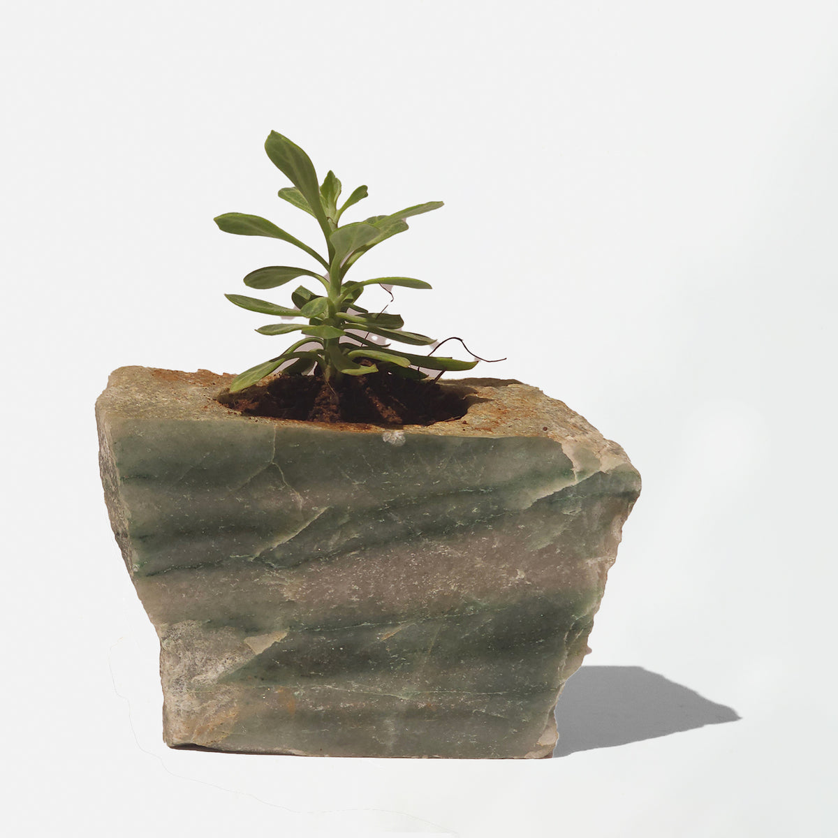 Semi Precious Planter - Green Quartz