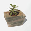 Semi Precious Planter
