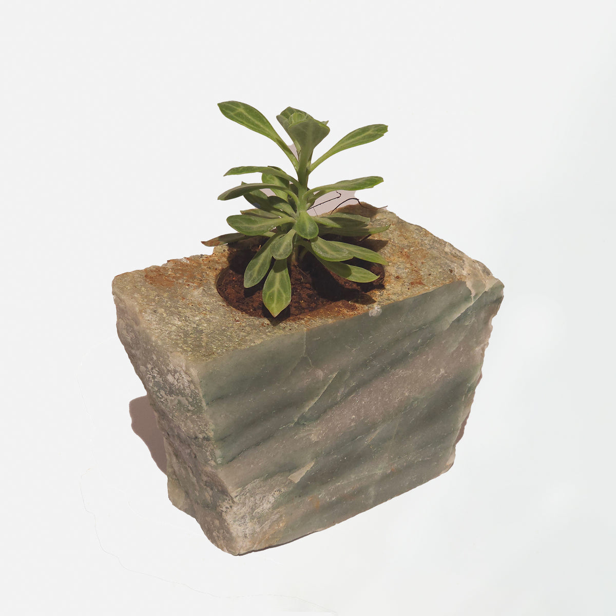 Semi Precious Planter - Green Quartz