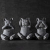 Three Wise Dogs