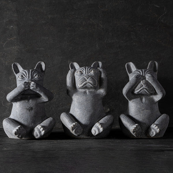 Three Wise Dogs