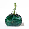 Semi Precious Planter- Green Gava