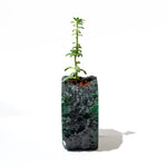 Semi Precious Planter- Green Gava