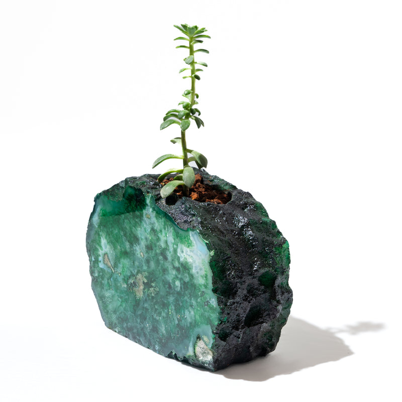 Semi Precious Planter- Green Gava