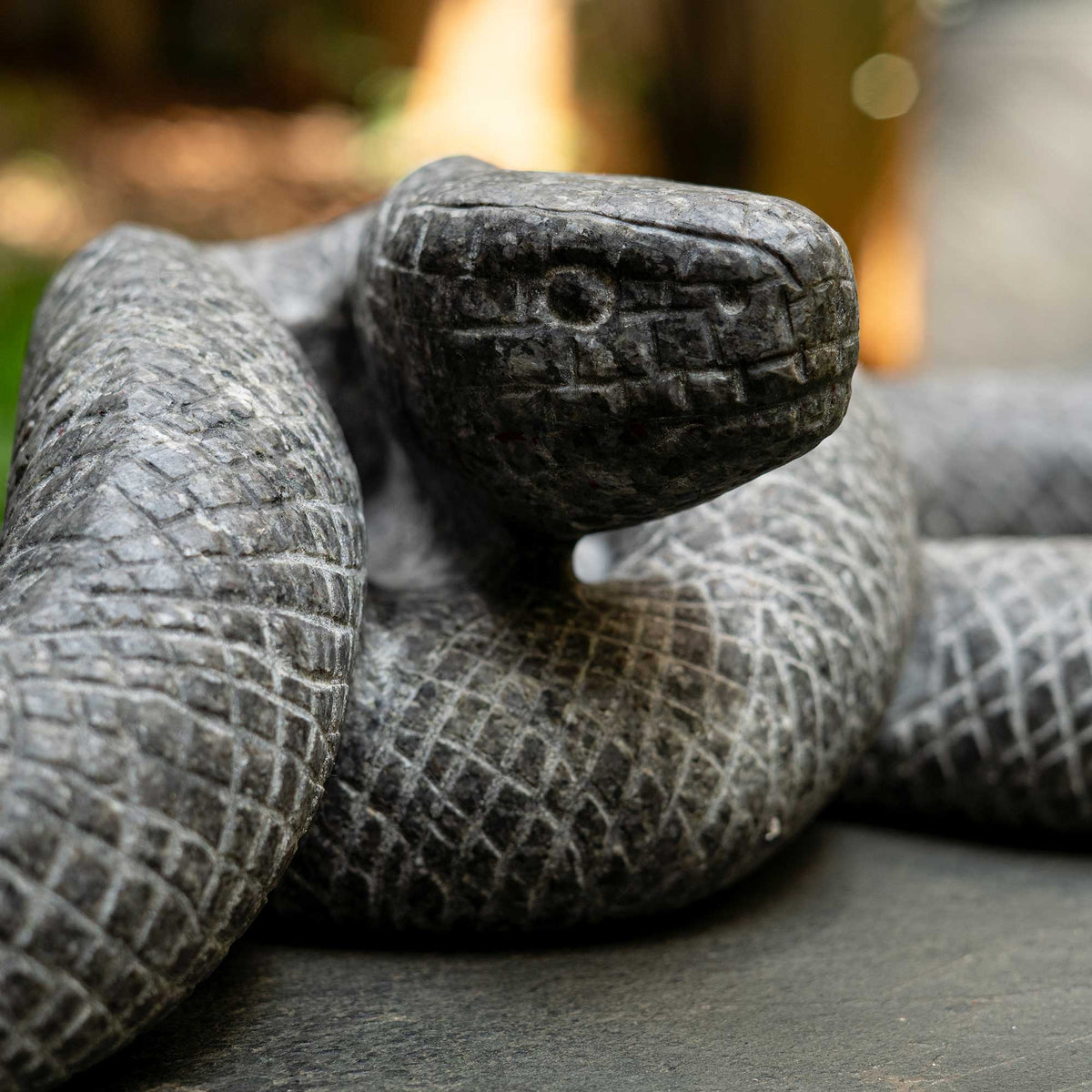 Kaa