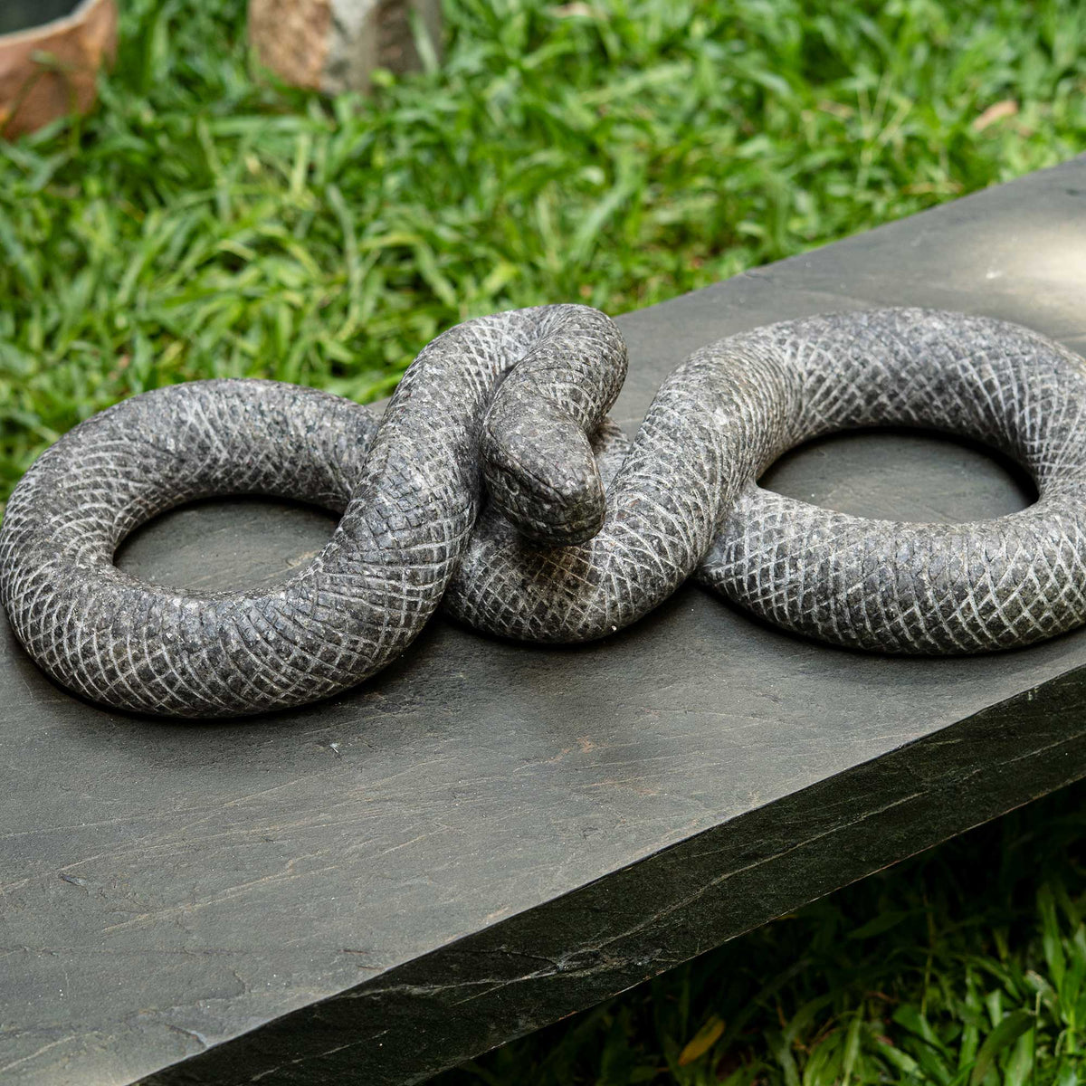 Kaa