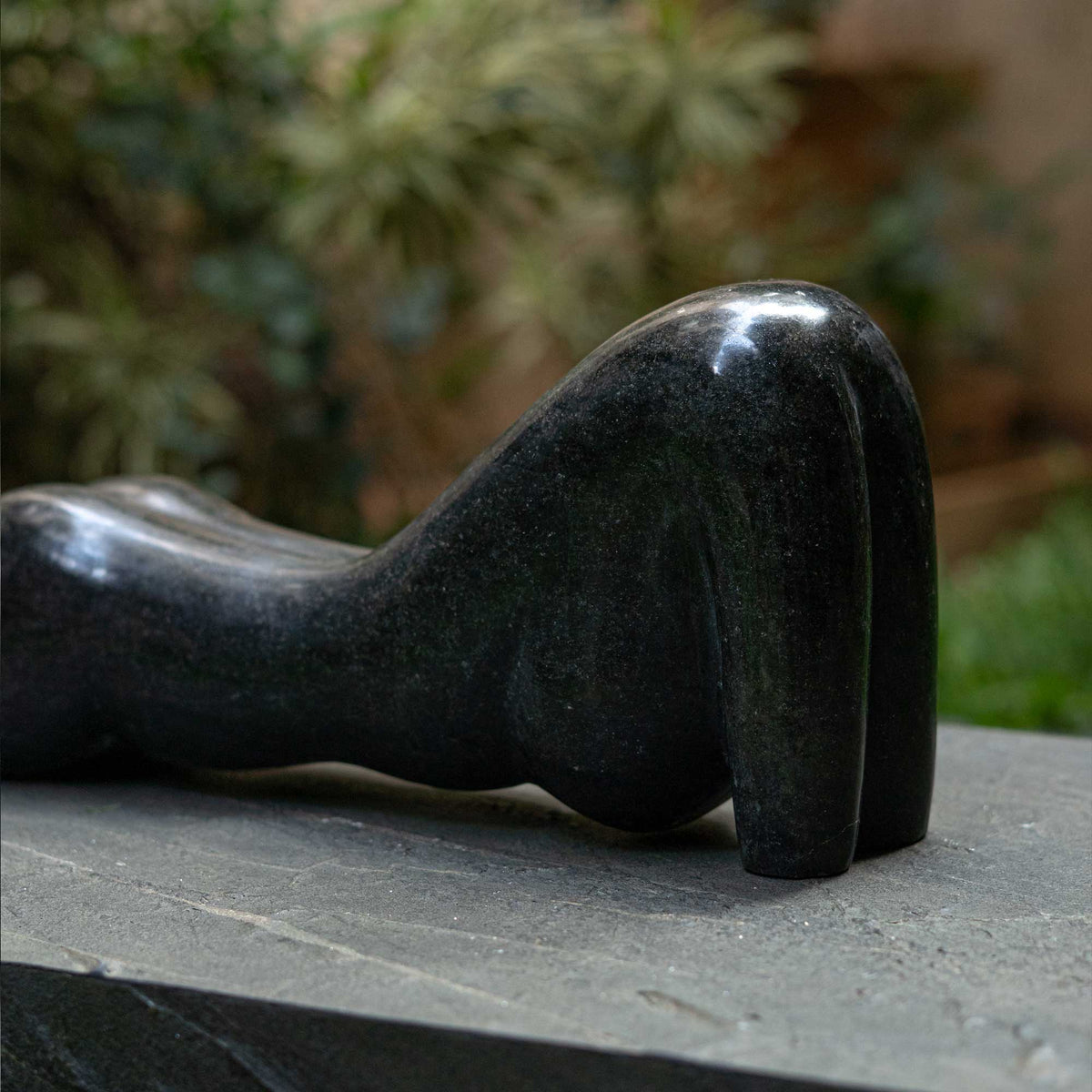 Sleeping Lady