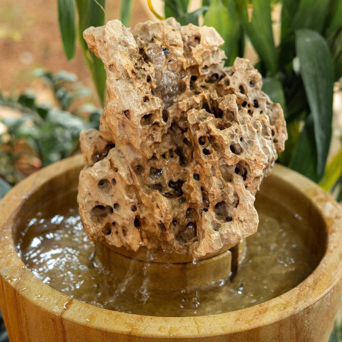 Sea Rock Fountain