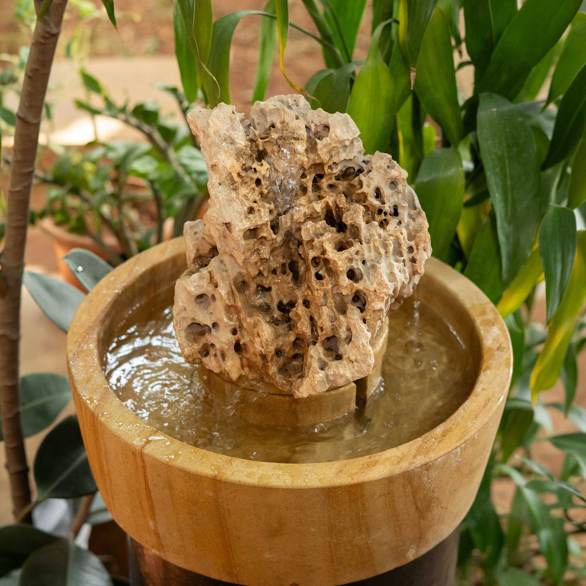 Sea Rock Fountain