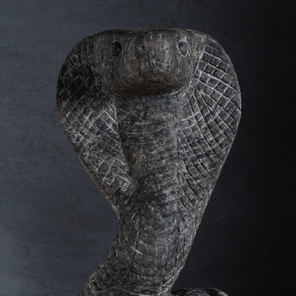 King Cobra