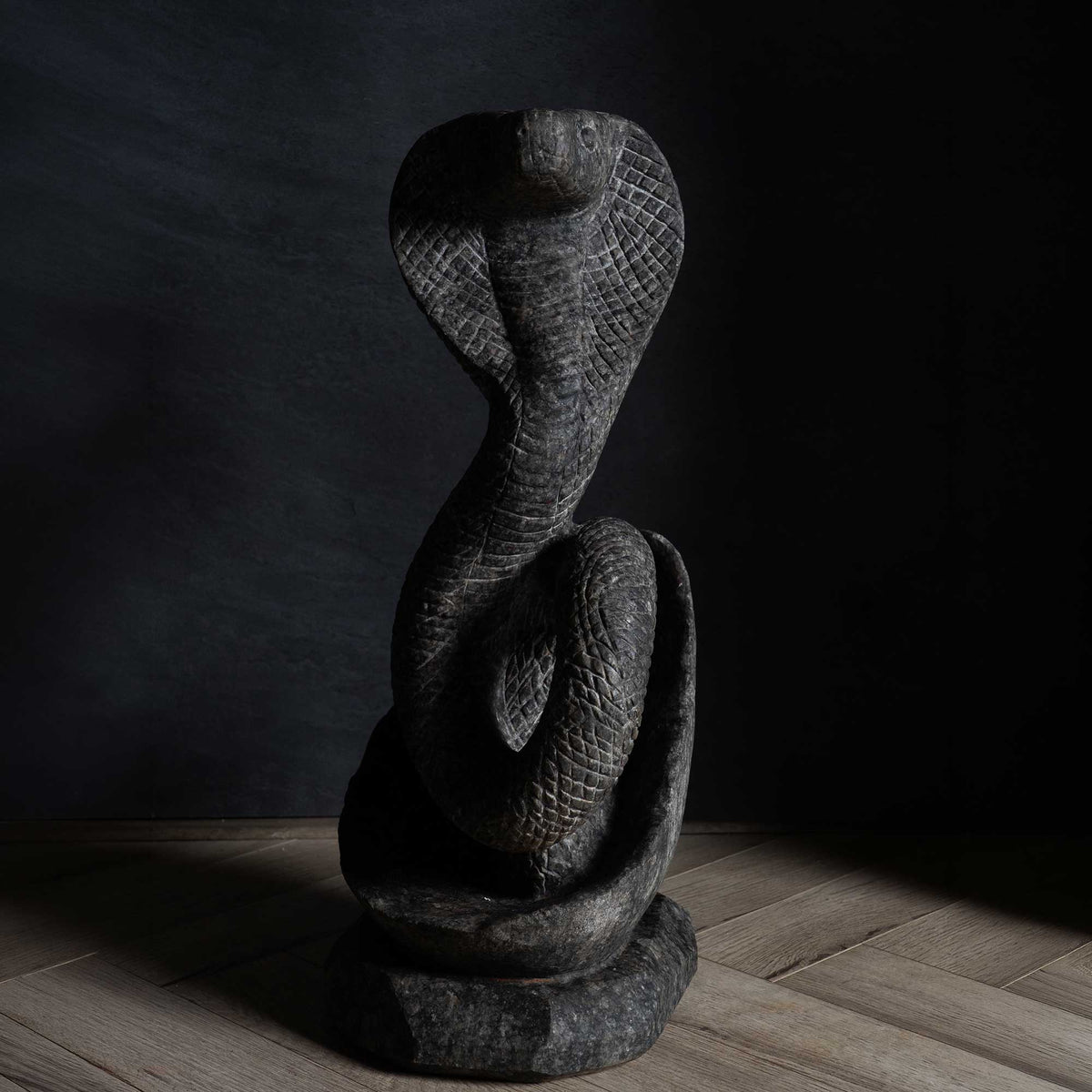 King Cobra