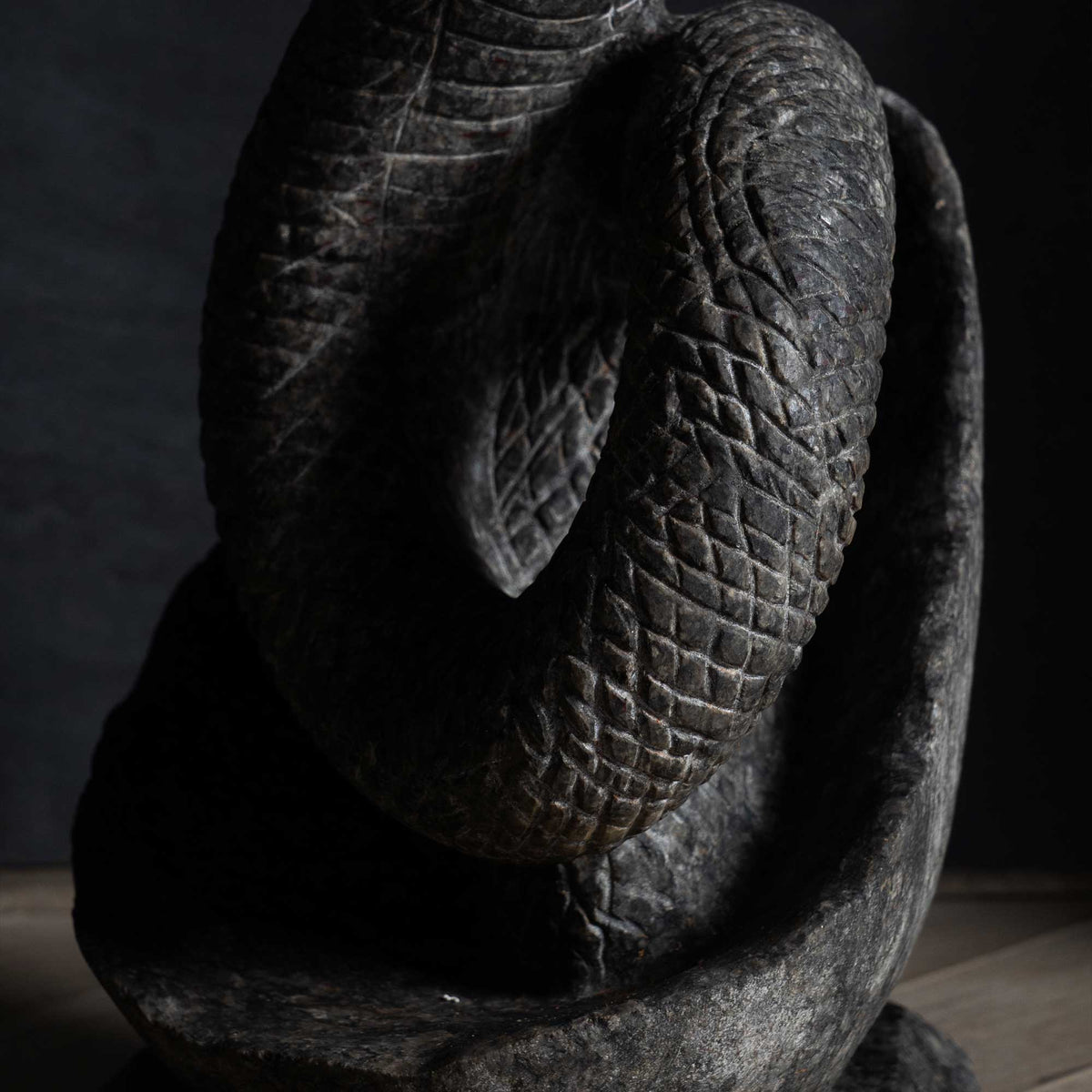 King Cobra
