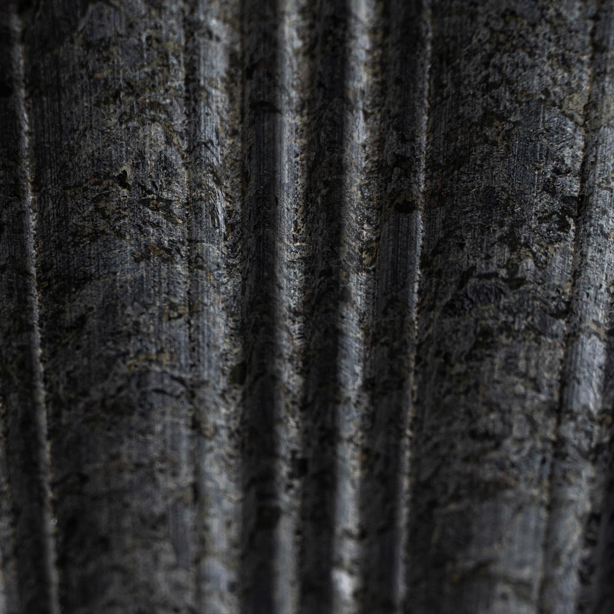 Classical Bamboo