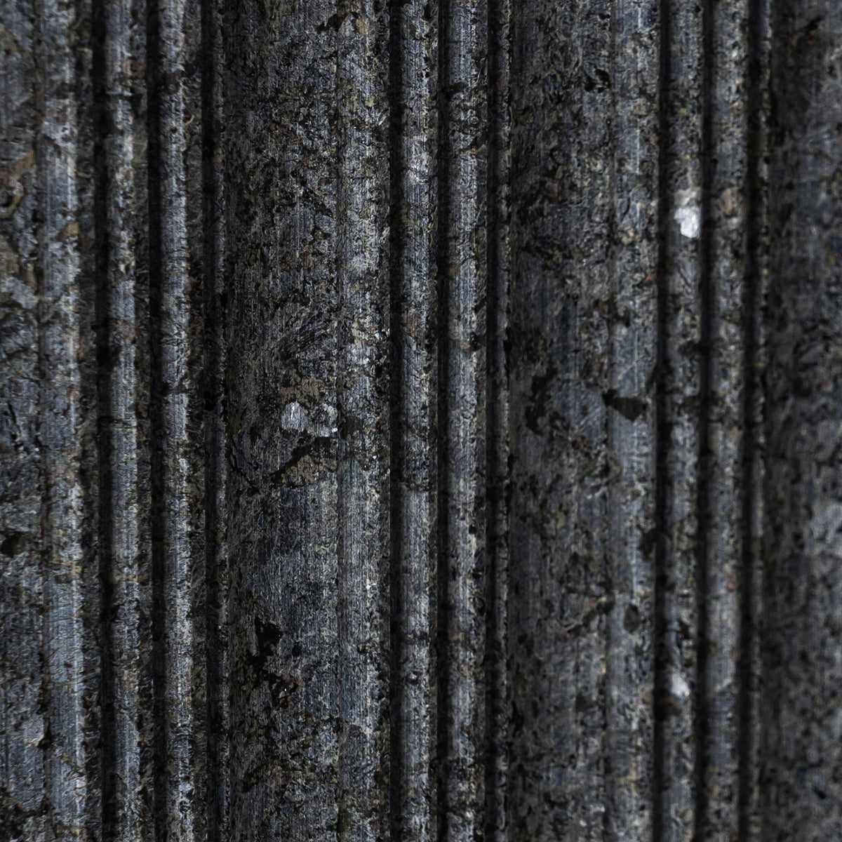 Classical Bamboo