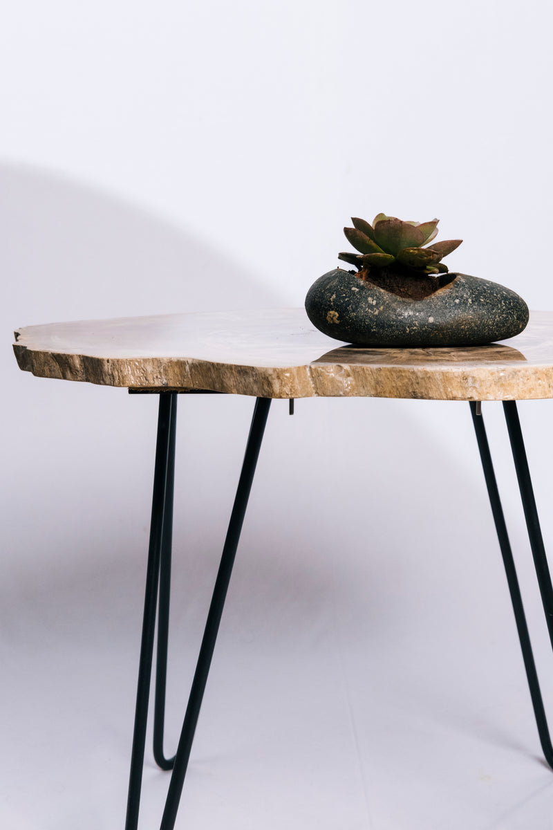 Petrified Wood Table