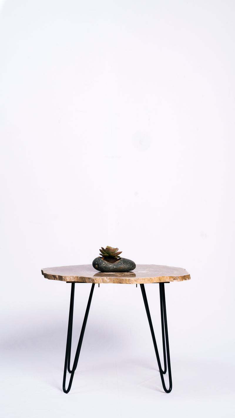 Petrified Wood Table